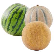 Galia, cantaloupe of watermeloen